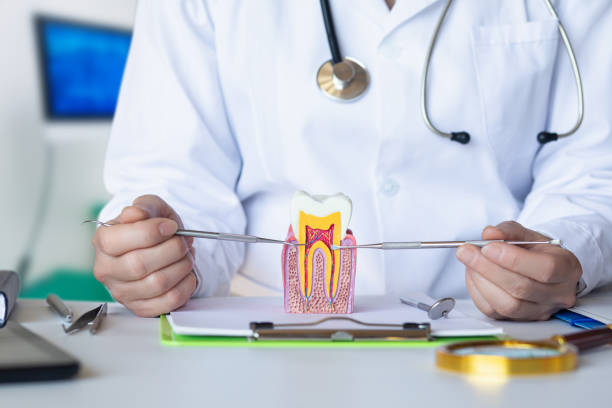 Best Emergency Orthodontic Repairs in Easton, MD